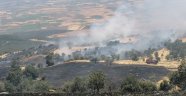 Nurdağı'nda orman alanda yangın