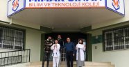 Okullar arası karate müsabakaları sonuçlandı
