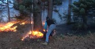 Orman yangını kontrol altına alındı