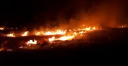Orman yangını paniğe neden oldu