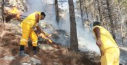 Orman yangını söndürüldü