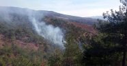 Orman yangınında bir kişi öldü