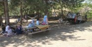 Otomobil yanlarına uçtu, onlar pikniğe devam etti