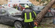 Otomobilin devirdiği ağaç başka bir otomobili hurdaya çevirdi
