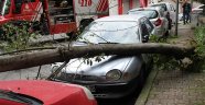 Park halindeki aracın üzerine ağaç devrildi