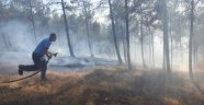 Piknik ateşi 1 hektarlık alanı kül etti