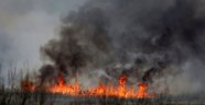 Polonya'nın en büyük milli parkı yanıyor