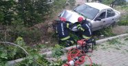 Refüje uçan otomobil ağaçları yerinden söktü: 1 yaralı
