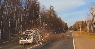 Rusya'da devrilen ağaç otomobili parçaladı