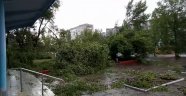 Rusya'da kasırga ağaçları köklerinden söktü