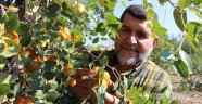 Rüyasında gördüğü meyveden 250 ton üretti