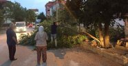 Rüzgar ve sağanak yağışla çatı uçtu ağaçlar devrildi