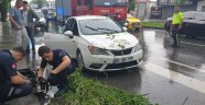 Sakarya'da şiddetli yağış esnasında ağaç aracın üzerine devrildi