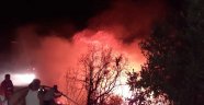 Samandağ'da otluk alanda çıkan yangın korkuttu