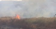 Samandağ'da sazlık yangını