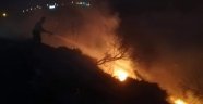 Samandağ'da bitki örtüsü yangını