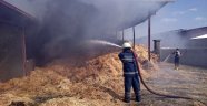 Samanlık yangını korkuttu