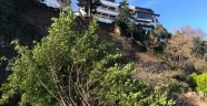Samsun-Ordu kara yolunda heyelan