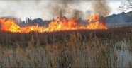 Sazlık alan alev alev yandı