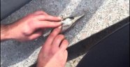 Serçenin hayatını kalp masajı yaparak kurtardı