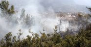 Seydikemer'de anız yangını ormana sıçradı