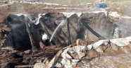 Siirt'te çıkan yangında ev ve ahır kül oldu