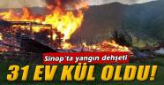 Sinop'ta 31 ev kül oldu