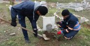 Sıptırız Mezarlığı'na 300 adet fidan dikildi