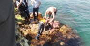 Sırt çantasına taş doldurup denize atladı