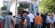 Sivas'ta ağaçtan düşen şahıs yaralandı