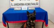 Sivas'ta uyuşturucu operasyonu