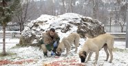 Sokak hayvanları için doğaya yiyecek bırakıldı