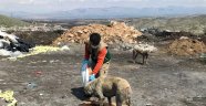 Sokak hayvanları unutulmuyor
