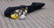 Sokak ortasında ölü bulundu
