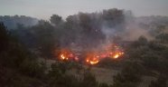 Soma'da orman yangını: 1 uçak 5 helikopter havadan müdahale ediyor