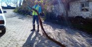 Su borusunun içinden çıktı! Tam 6 metre...