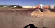 Suudi Arabistan'ı çöl çekirgeleri bastı