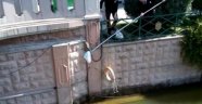 Suya düşen kediyi güvenlik görevlileri kurtardı