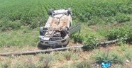 Tarlaya uçan otomobilin sürücüsü yaralandı