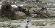 Tayfun dev ağaçları köklerinden söktü!