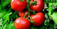 Temmuz'da zam şampiyonu domates oldu