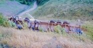 Tır şarampole uçtu: 1 yaralı