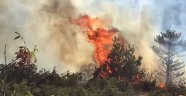 Tokat'ta korkutan yangın