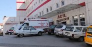 Tosya'da cevizden düşen kişi yaralandı
