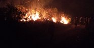 Trabzon'da örtü yangını
