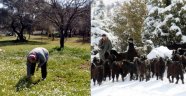 Türkiye iki ayrı mevsimi bir arada yaşıyor!
