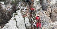 Uçurumda 2 gündür mahsur kalan keçiler AKUT ekiplerince kurtarıldı