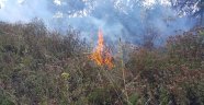 Uludağ'ın eteklerinde orman yangını