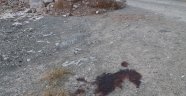 Uşak'ta cinayet