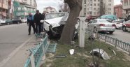 Uykusuz sürücü ağaca çarparak durabildi